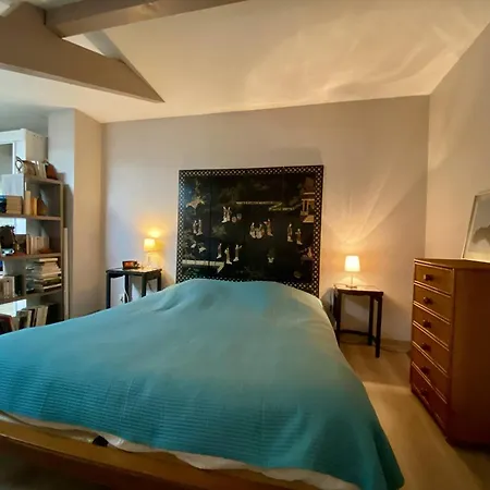 Grand Duplex A Cambo, Animaux Acceptes, Terrasse, Parking, Internet - Fr-1-495-147 * Cambo-les-Bains