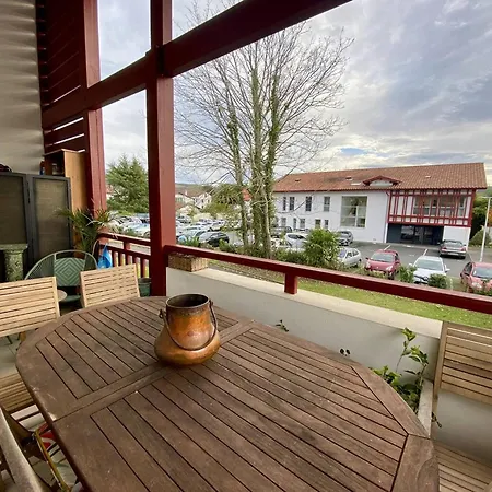 Spacieux T1 Bis A Avec Terrasse, Animaux Admis, Parking Et Wi-fi - Fr-1-495-147 Cambo-les-Bains