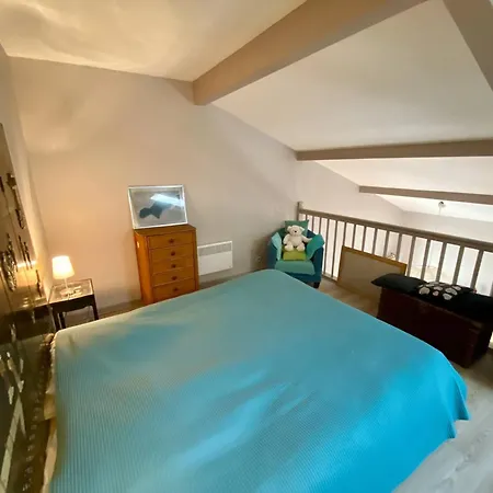 Grand Duplex A Cambo, Animaux Acceptes, Terrasse, Parking, Internet - Fr-1-495-147 * Cambo-les-Bains