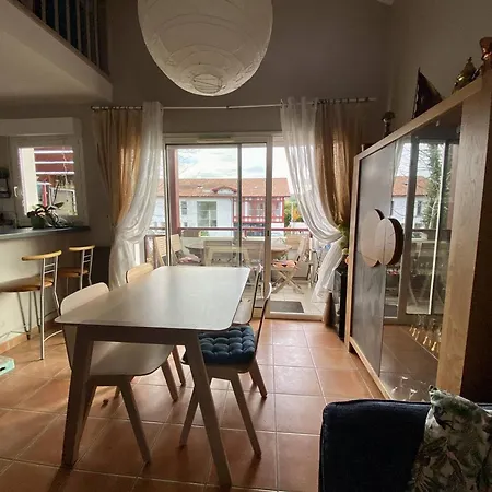 Grand Duplex A Cambo, Animaux Acceptes, Terrasse, Parking, Internet - Fr-1-495-147 Apartment