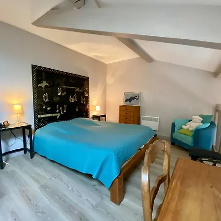 Spacieux T1 Bis A Avec Terrasse, Animaux Admis, Parking Et Wi-fi - Fr-1-495-147 *