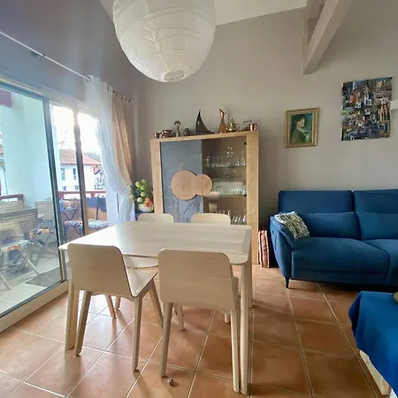 Spacieux T1 Bis A Avec Terrasse, Animaux Admis, Parking Et Wi-fi - Fr-1-495-147 Lägenhet Cambo-les-Bains