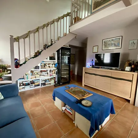 Spacieux T1 Bis A Avec Terrasse, Animaux Admis, Parking Et Wi-fi - Fr-1-495-147 * Cambo-les-Bains