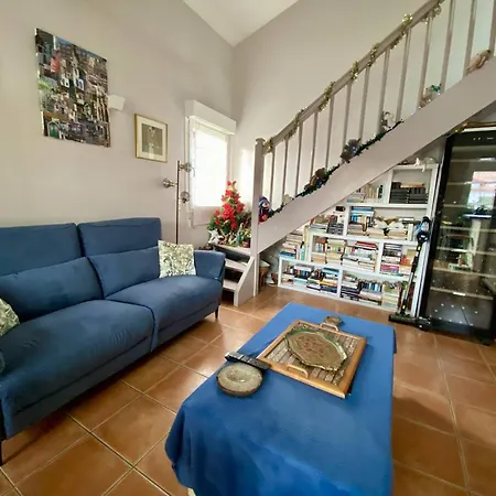 Spacieux T1 Bis A Avec Terrasse, Animaux Admis, Parking Et Wi-fi - Fr-1-495-147