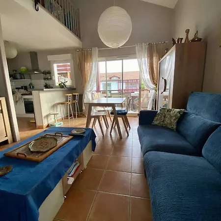 Lägenhet Spacieux T1 Bis A Avec Terrasse, Animaux Admis, Parking Et Wi-fi - Fr-1-495-147