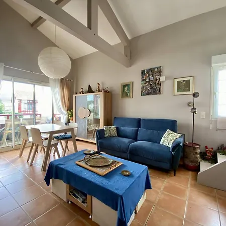 Spacieux T1 Bis A Avec Terrasse, Animaux Admis, Parking Et Wi-fi - Fr-1-495-147 Lägenhet Cambo-les-Bains